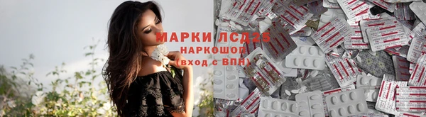 крисы Белокуриха