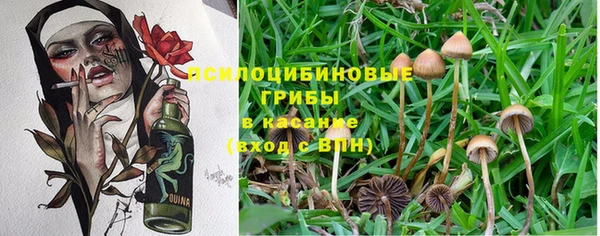 тгк Балабаново