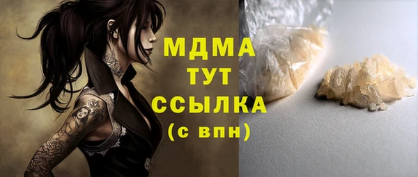 сатива Беломорск