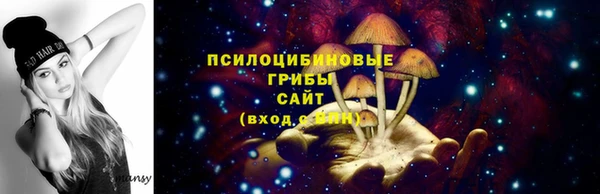 сатива Беломорск