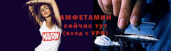 сатива Беломорск