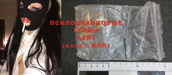 сатива Беломорск