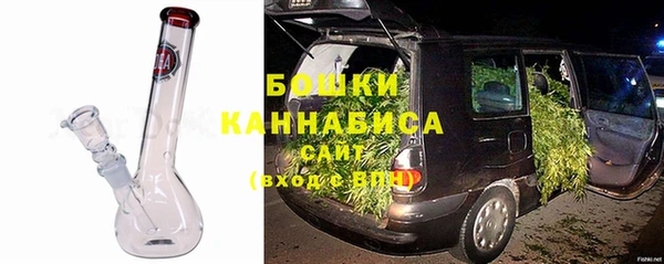 сатива Беломорск
