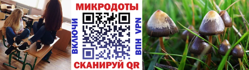 Галлюциногенные грибы Psilocybe  что такое наркотик  Щигры 